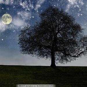 好紧好爽快点深一点网站
